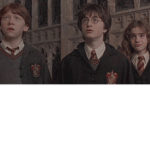 ~HP POTTAHS~
