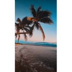 Roblox”s account meee