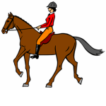 Orchid Stables