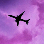 dior airlines