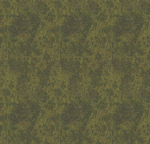 Nomine Dignus