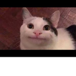no0o0o0ooo0o0o0o0