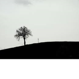 valley