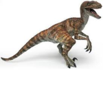 The Raptors Party
