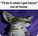 C:\Storage