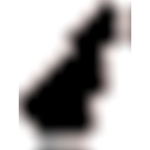 Elinasysus