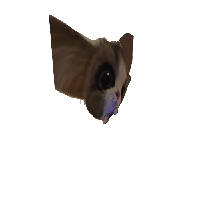 Cat Shaking Head 360 (Animated)