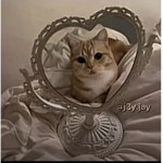 J3Y.JAY