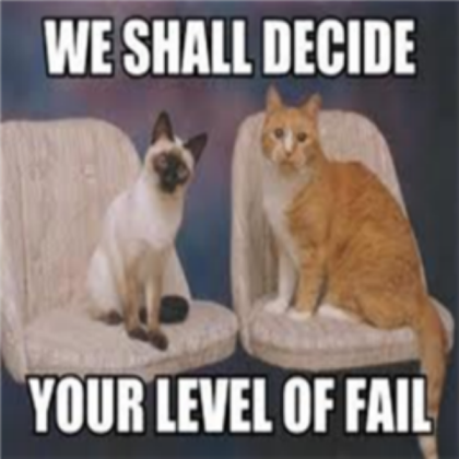 Cat Goverment Funny Roblox decal