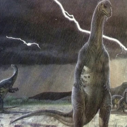 200 million years of rain.