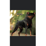 The Dog Mafia