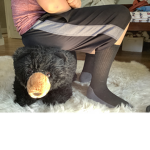 Emerson and Bears