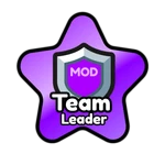 Team Leader