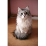 Techzone, Inc.™