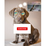silver lab fan club