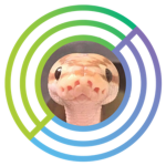 sneks united 2