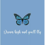 BButterflys