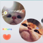 {~Meow~}