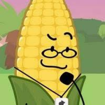 Steve Cobs fans