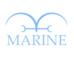 Team Of Marines