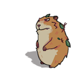 Feral Chomik