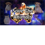 Save The Animals, foundation for animals!