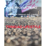 VPZ PRODUCTIONZ