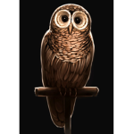 Wolfie Designs