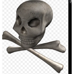 Bones X-Ray