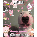Macha e urso