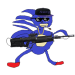 Sonic Swag