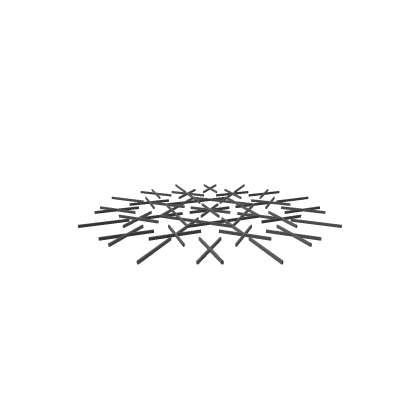 A Snow Flake