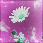 Solivagant