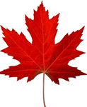 Royal Canadian Military Academy