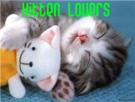 Kitten Lovers Offical Fan Group