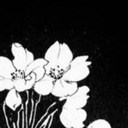 ✿