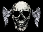 The Winged Demons Studio