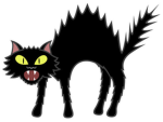 Zapped Cat Studios