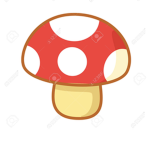 Mushroom fan club/group