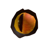 The all knowing eye
