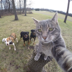 kimi n friends