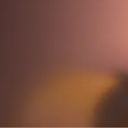 🐰