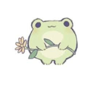 Aesthetic Green frog