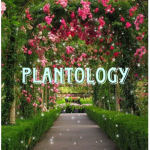 Plantology