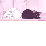 GRUPO DOS GATo