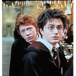 Harry Potter bunny’s