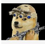 doge military alpha wing