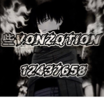 些Vonzqtion