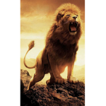 Lions group ita