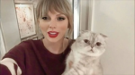 <3 | cat fan club